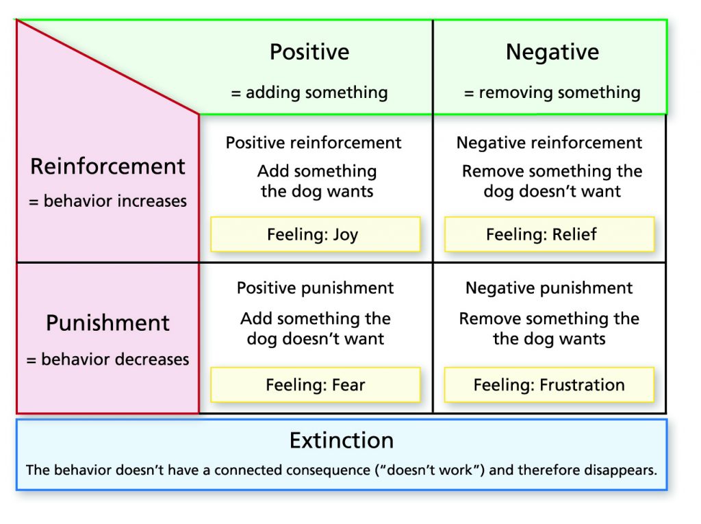 Operant Learning Vs Clicker Training Vs Traditional - 